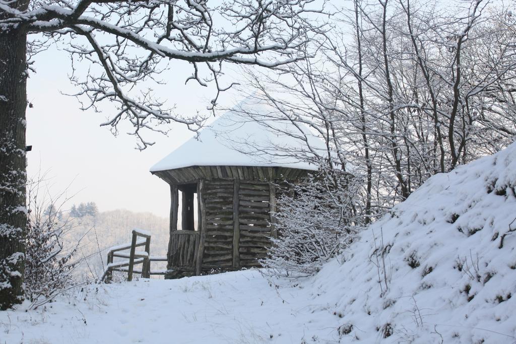 Ferienwohnungen Schenk Schmitz บัดแบร์ทริช ภายนอก รูปภาพ